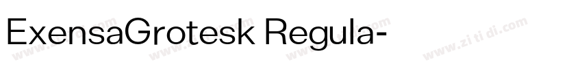 ExensaGrotesk Regula字体转换 ExensaGrotesk Regula字体转换